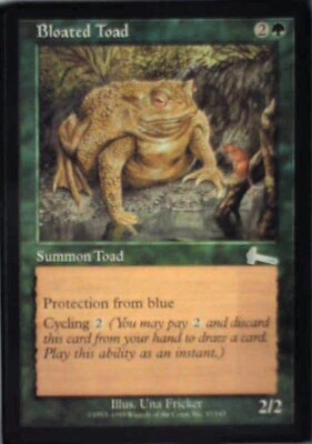 toad pokemon cards A real image of Shinji Kanda's new card just droppedhe's high again! : r/PokemonTCG