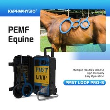 PMST Loop pemf Therapy For Horse Use Muscle Relaxation Equine Treatment Machine
