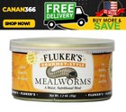 Gourmet Mealworms, Canned Food for Reptiles, Fish, Birds and Small Animals, 1.23