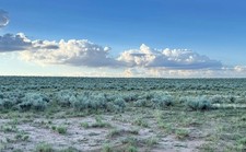 .5 Acres for Sale in Belen, New Mexico!