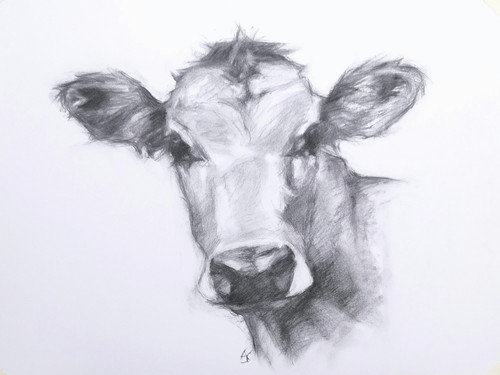 ORIGINAL Jersey Kuh Kohle Zeichnung - Kunst vom Künstler - Bild 1 von 6