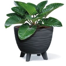 Blumentopf Pflanzschale Blumenk&uuml;bel mit F&uuml;&szlig;en Pflanzk&uuml;bel Furu Rund Tannennadeln