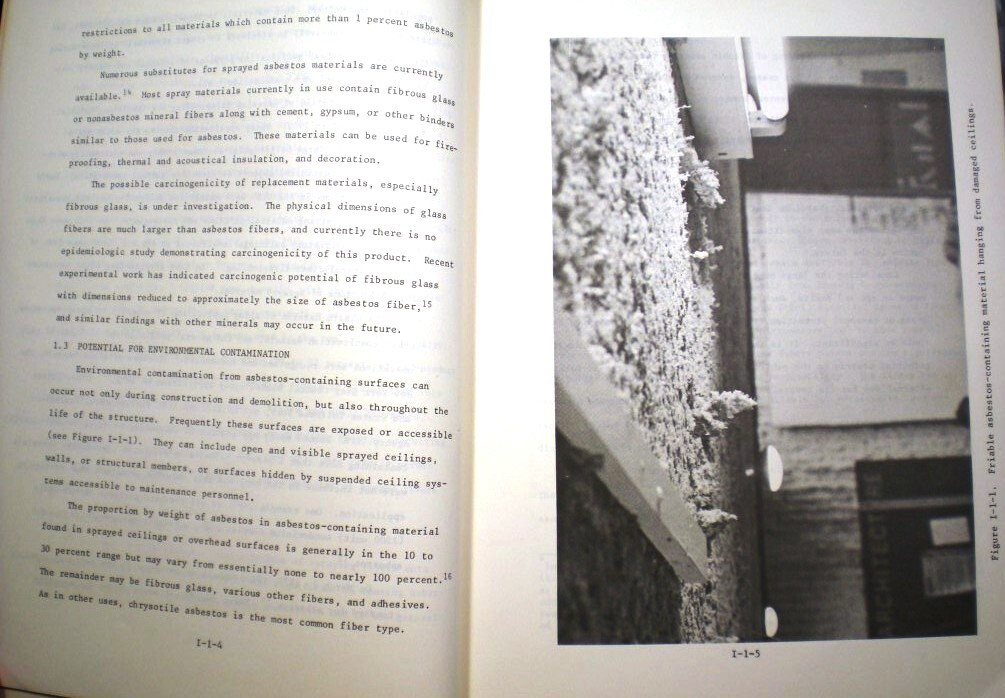 Picture 9 of 10