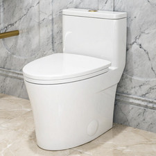 HOROW One Piece Toilet with ADA Chair Seat Elongated Dual Flush 1.1/1.6GPF White