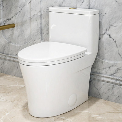HOROW One Piece Toilet with ADA Chair Seat Elongated Dual Flush 1.1/1.6GPF White