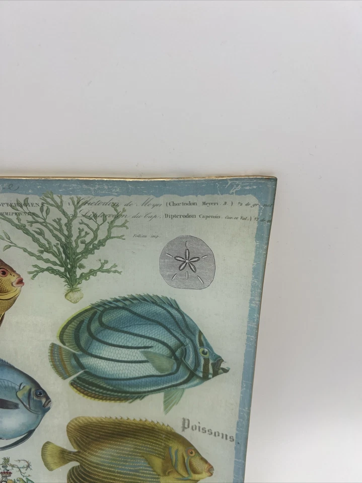 Bandeja de placa de decoupage de vidrio Michel Design Works_francés_pez tropical_10,5" Foto 4 de 4
