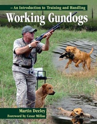 Working Gundogs: An Introduction to Training and Handling By Mar