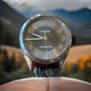 Timex Blue Dial Watch | eBay