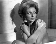 8x10 Print Claudia Lange Crossplot Courtesy United Artists 1969 #2586