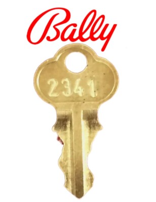 Slot Machine RESET KEY 2341  for IGT, Bally, Williams, Sigma, others.  free ship