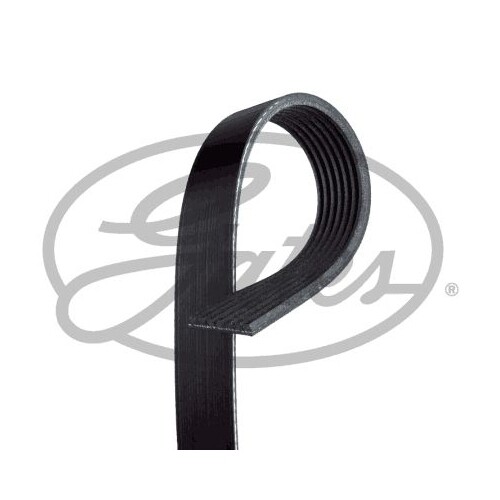 Cinghia Poly V Gates 7PK1593 Micro-v® per Toyota Van Hool Hyundai Kia Pontiac