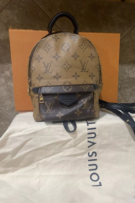 Louis Vuitton Reverse Monogram Palm Springs Backpack Mini