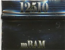 100 PACK BLACK 125120 Apple Zip Baggies Mini Bags 1.25x1.0" 2.5 mil