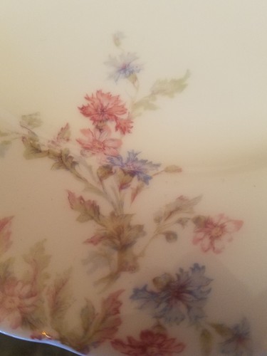 37 Piece Haviland & Company China Berry Bowls ? and Schleiger 659 Plates - Picture 7 of 12