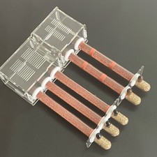Acrylic Mini AntHouse Bamboo Test Tube AntFarm Workshop Insect Castle Moisturize