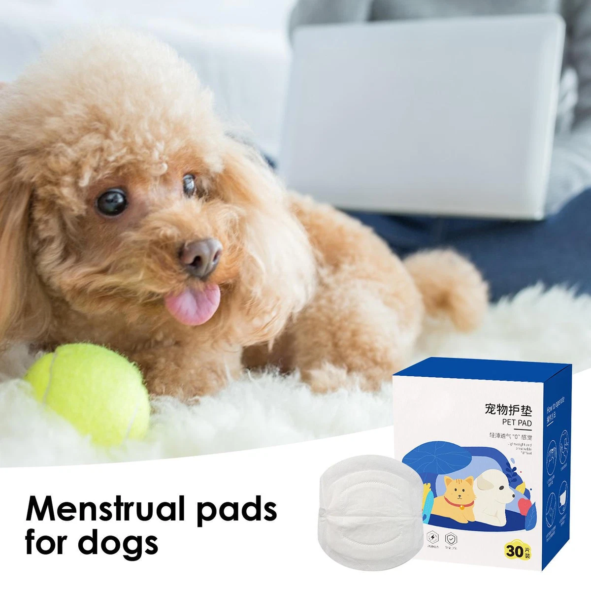 Pads for girl dogs cheap