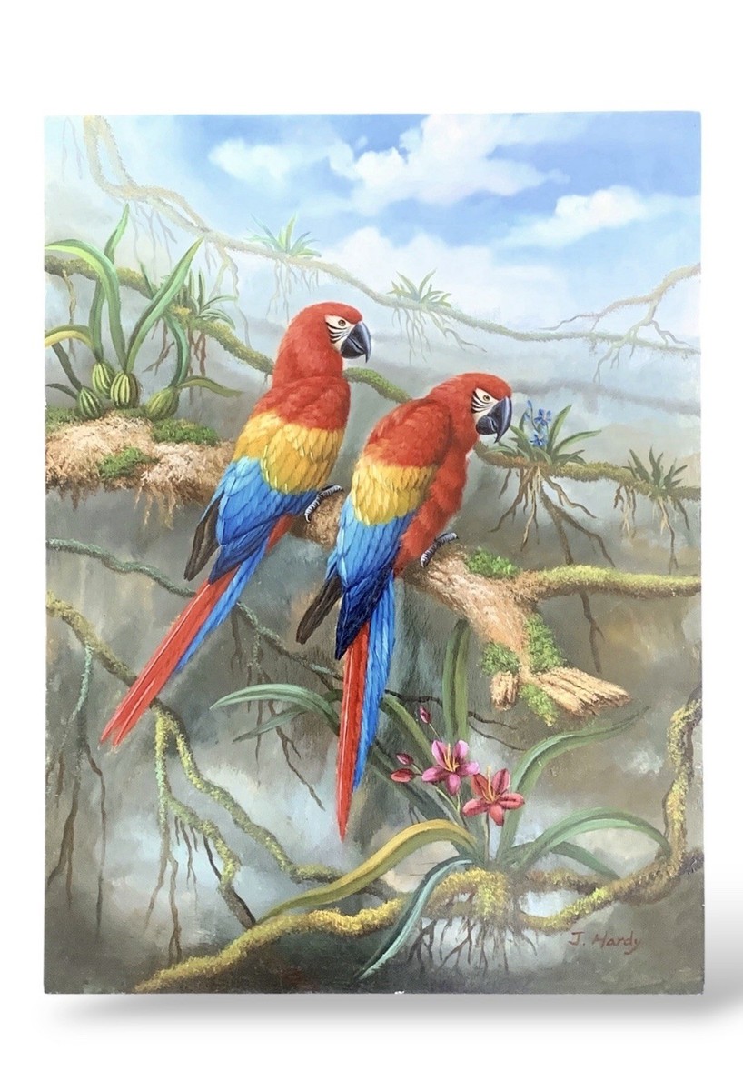 James Hardy oil painting of parrots | eBay