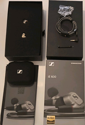 Sennheiser IE 600 In-Ear Kopfhörer 3,5 mm Hi-Res Silber/Schwarz Doppelt