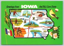Postcard Iowa Greetings From Tall Corn State Map Corn Flag Wild Rose Goldfinch