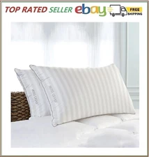  2-Pack Feather & down Pillow, 500 Thread Count Cotton Cover, Med-Firm Density