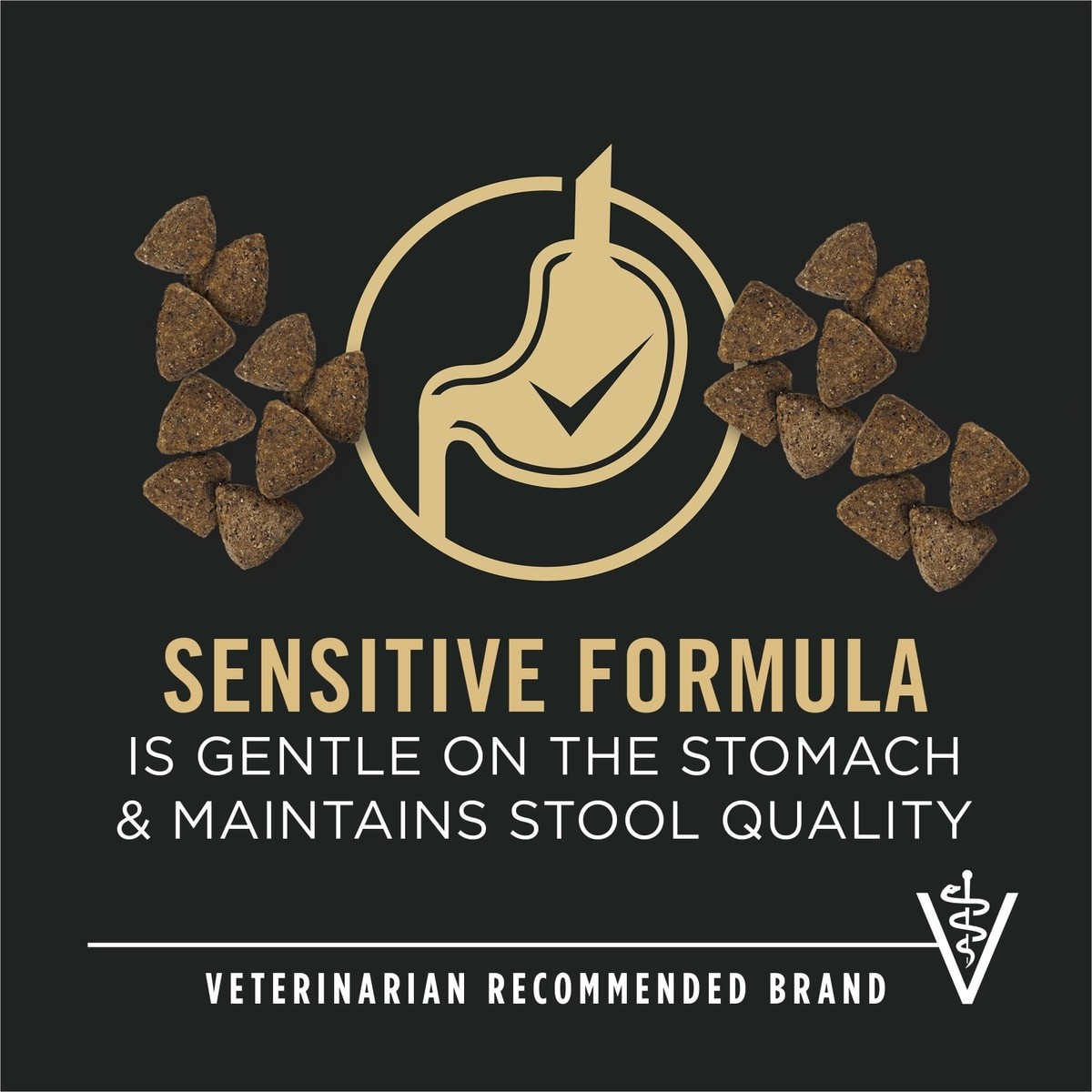 Purina Pro Plan Adult Sensitive Skin & Stomach Salmon&Rice Formula Dry Food 30Lb