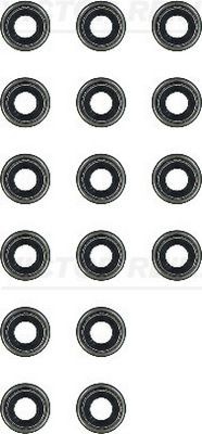 Victor Reinz Dichtungssatz, Ventilschaft 12-52829-02 FüR Daihatsu Geely-image