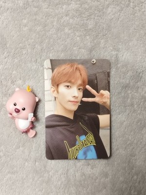 SEVENTEEN DK Heng:garae 7th Mini Album photocard Kpop pc