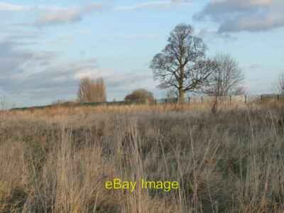 Foto 6x4 Ein lokales Wahrzeichen in der Nähe von Fieldhead Hospital Wakefield einsamer Baum c2016