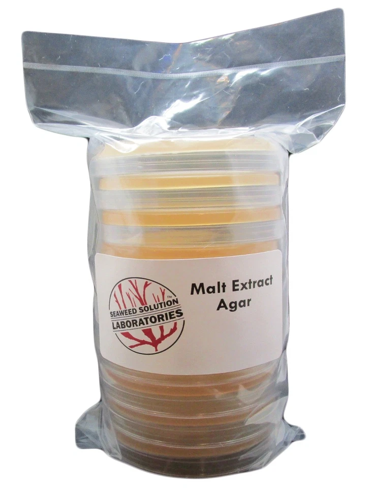 SEAWEED SOLUTION LABORATORIES Malt Extract Agar (MEA) 10, 100mm x 15mm Sterile Plates- Great For Mushrooms!