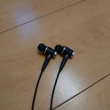 JVC KENWOOD HA-FX1100 Wood Series In-Ear Canal Stereo Mini Headphones Hi-Res