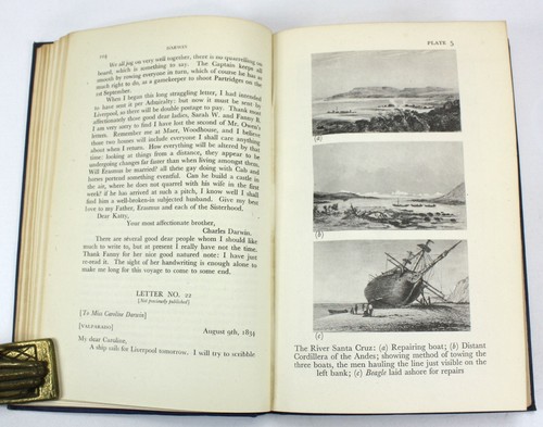 Charles Darwin and The Voyage of The Beagle, Nora Barlow, Pilot Press, 1945. 1st - Picture 9 of 11