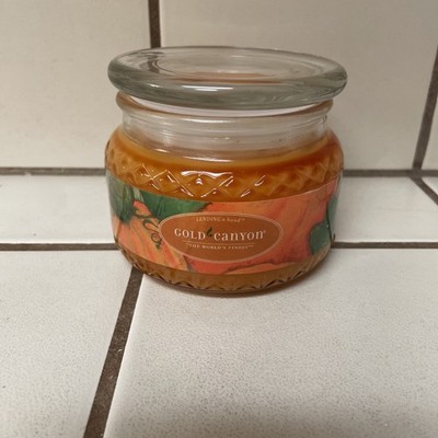 Gold Canyon Pumpkin Pie 8 oz Candle 2 Wick Discontinued New Unburned