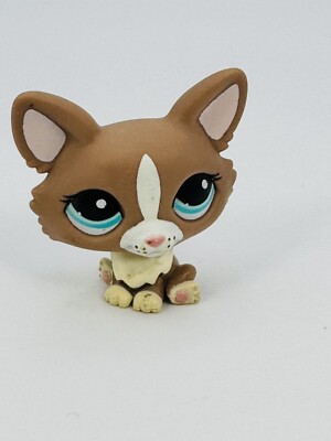 Littlest Pet Shop Corgi Dog. Brown & Cream with Turquoise Eyes. LPS Corgi.2010