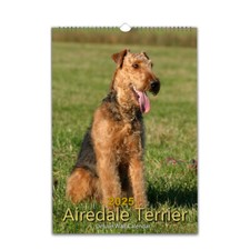 Airedale Terrier Dog photo calendar 2026/27 personalised Choose Start