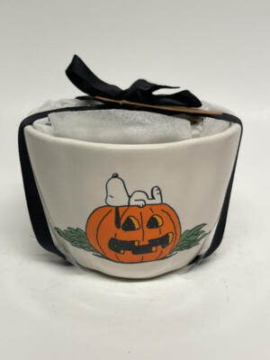 Rae Dunn Snoopy Peanuts Halloween 2023 Measuring Cups Set