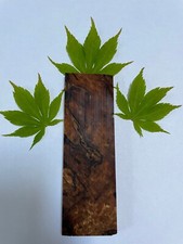 Stabilized Singular Spalted Maple Wood Knife Scale, Handle, Pistol Grip