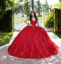 Princess Red Quinceanera Dresses with Straps Sweet 15 16 Prom Ball Gowns
