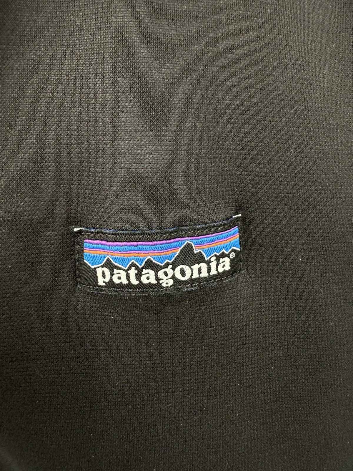 patagonia microfiber tech fleece full zip jacket