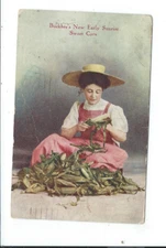 Postcard Post Card Rockford Illinois Ill Il Buckbee Seed Company Greenhouses