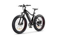 Santiago Fat tire Electric Mountain Bike
