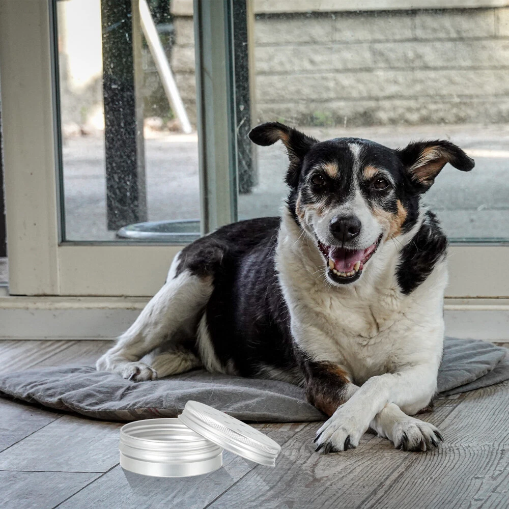 Canine Scent Work, Scent training for Dogs