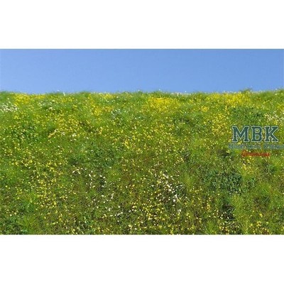 Model Scene MSC-F561S Blühd.Frühlingswiese/Blmg.meadow spring MINIPACK