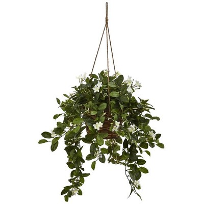 16 Inch Mixed Stephanotis Hanging Basket White Flowers Evergreen Leaves