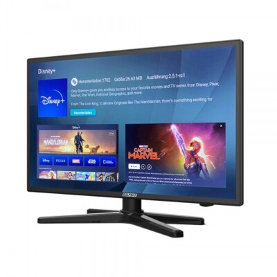Selfsat SMART LED TV 1222 55 cm 22'' inkl. DVB-S2/C/T2 HD Tuner mit WLAN Bluetoot