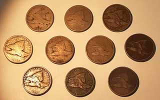 Lot of Ten Flying Eagle Cents in Low Grade with Issues See Photos