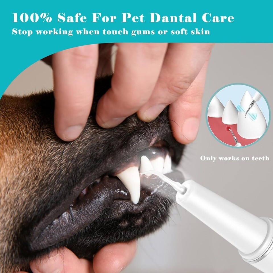 dog-plaque-and-tartar-remover-dog-teeth-cleaning-kit-pet-teeth