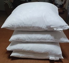 Set of 4 - 20x20 in Genuine Duck Feather Pillow Inserts