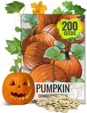 Connecticut Field Pumpkin Seeds for Planting Heirloom 1 oz