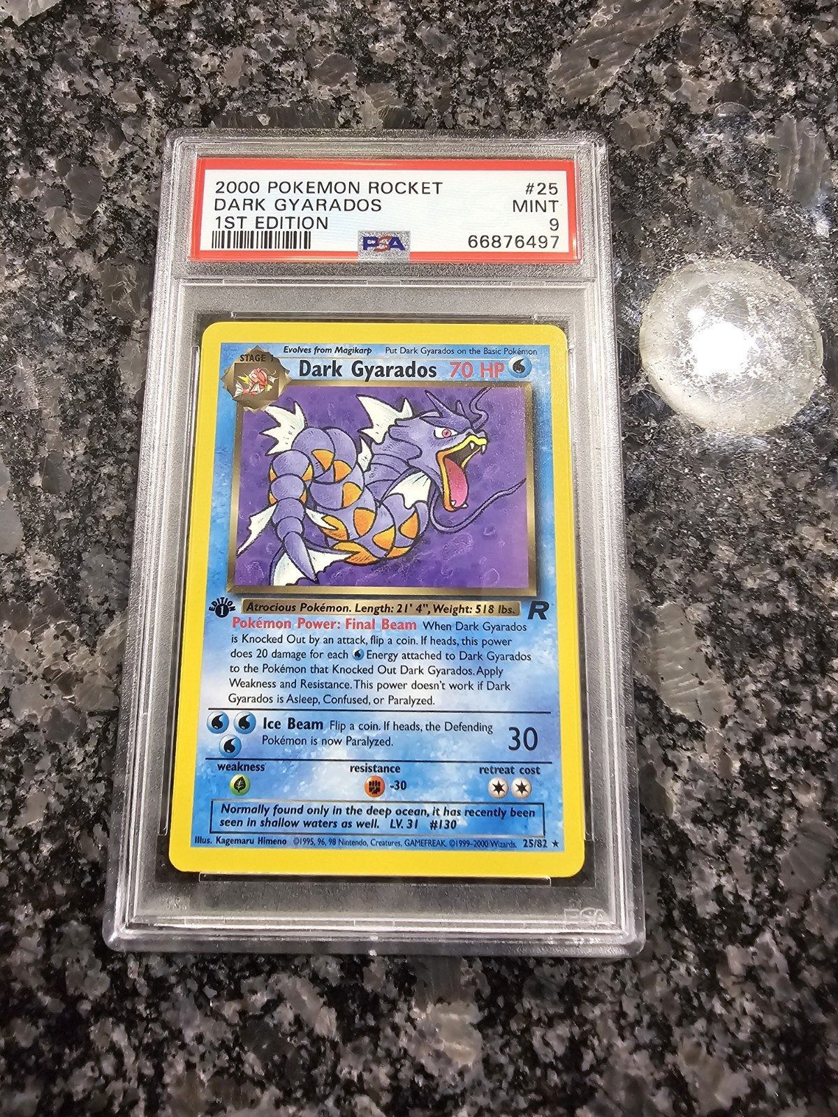 Pokemon 2000 Dark Gyarados 25/82 1st Edition Team Rocket PSA 9 Non Holo