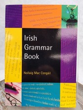 Irish Grammar Book (English and Irish Edition...